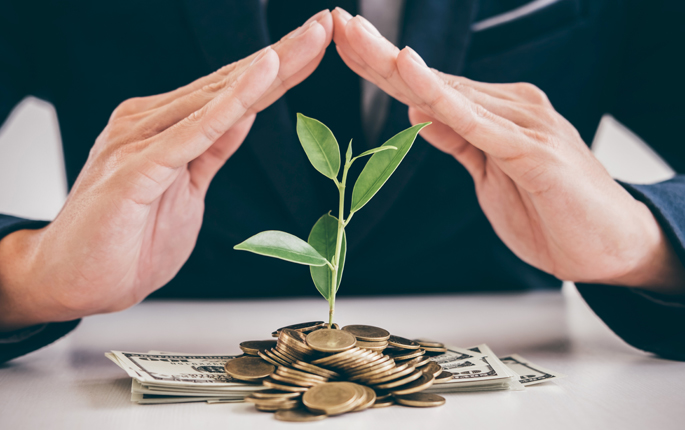 Image depicting a person holding their hands over a plant growing out of a stack of coins and cash.